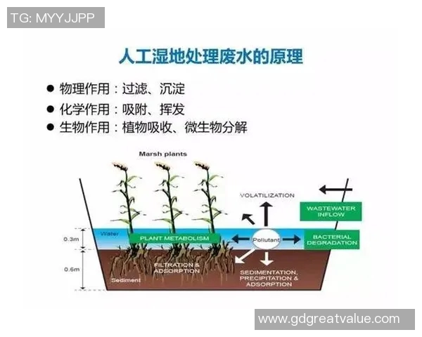 掌握足球扣球技巧提升球场表现的全面指南