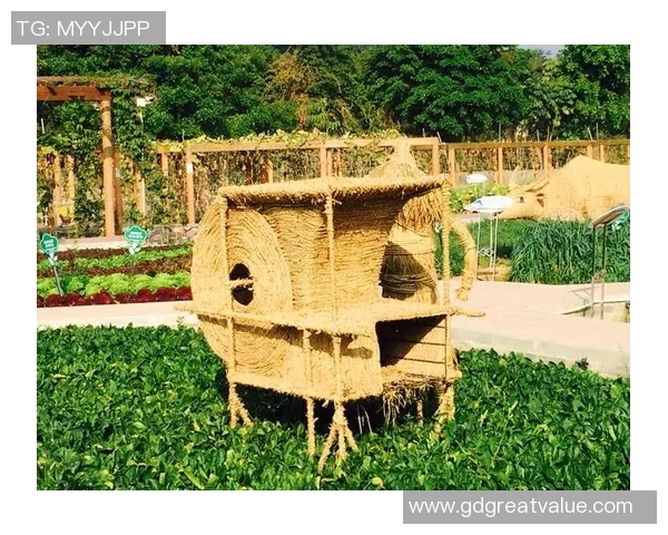 国产足球鞋崛起之路探索中国足球装备的创新与发展潜力